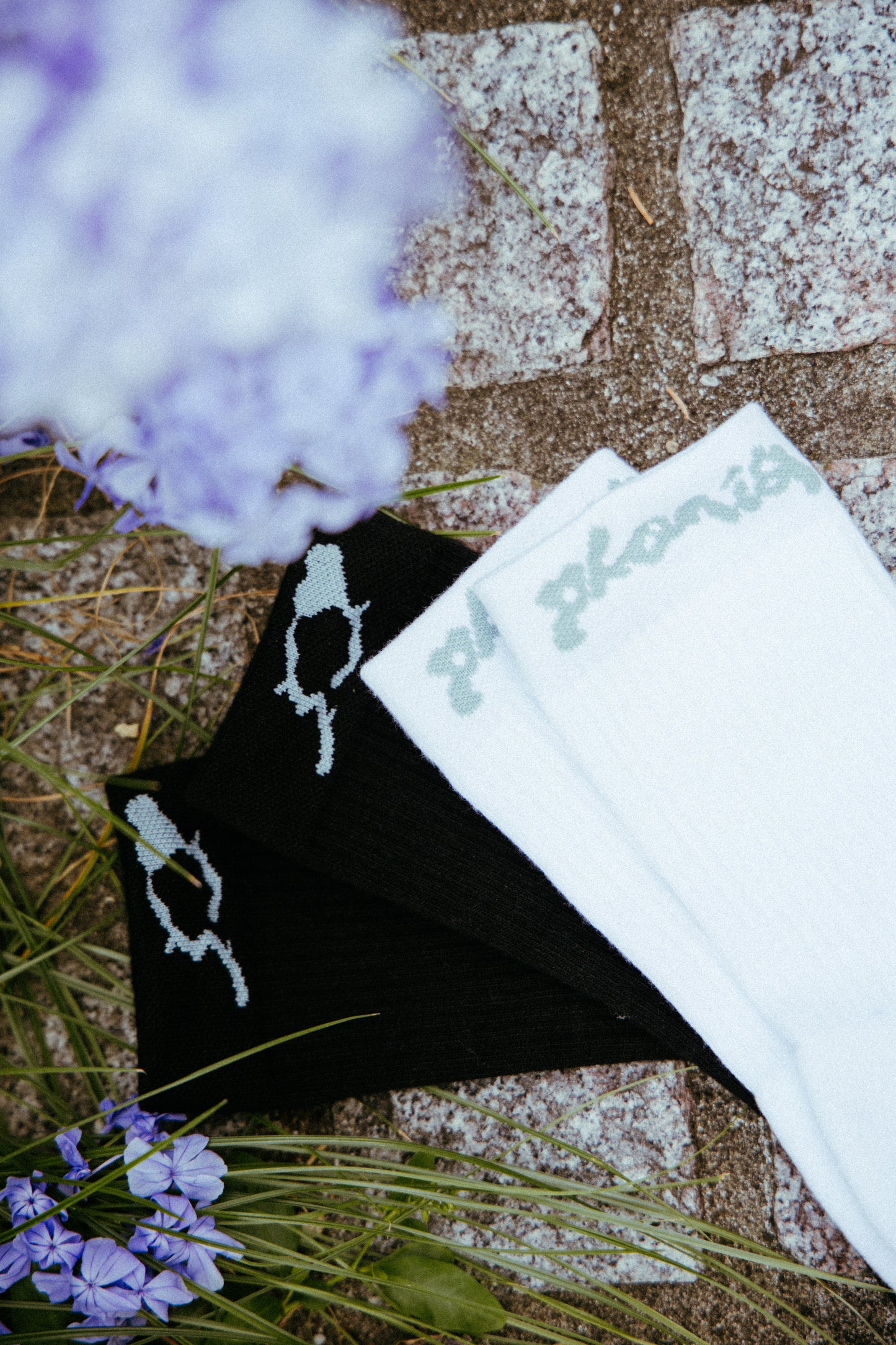 Rose Heart Socks (Black)