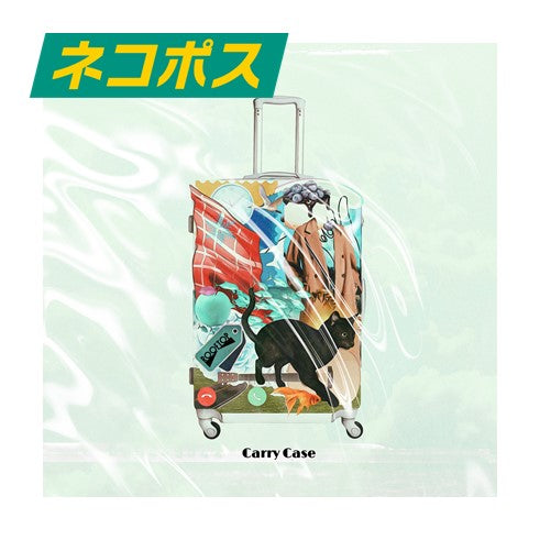 Carry Case
