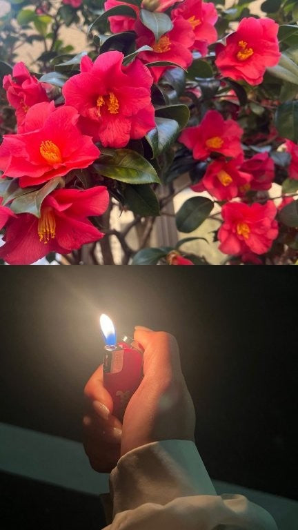 Phonia Lighter